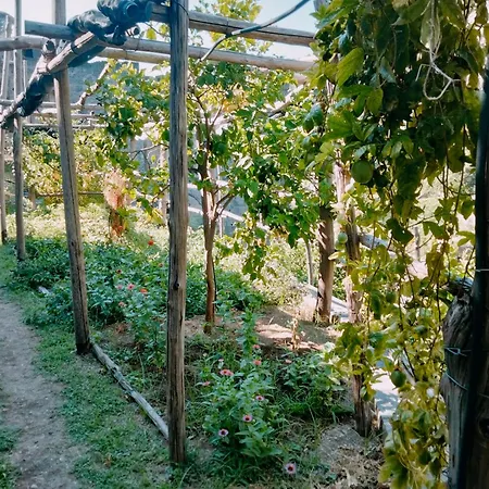 Casa Claudia *