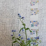 アパート Casa Claudia *